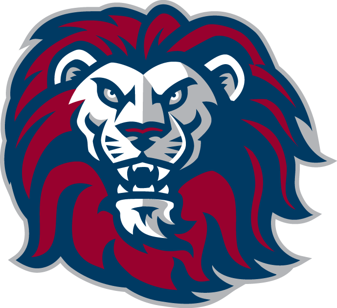 Loyola Marymount Lions 2001-Pres Alternate Logo v6 diy iron on heat transfer